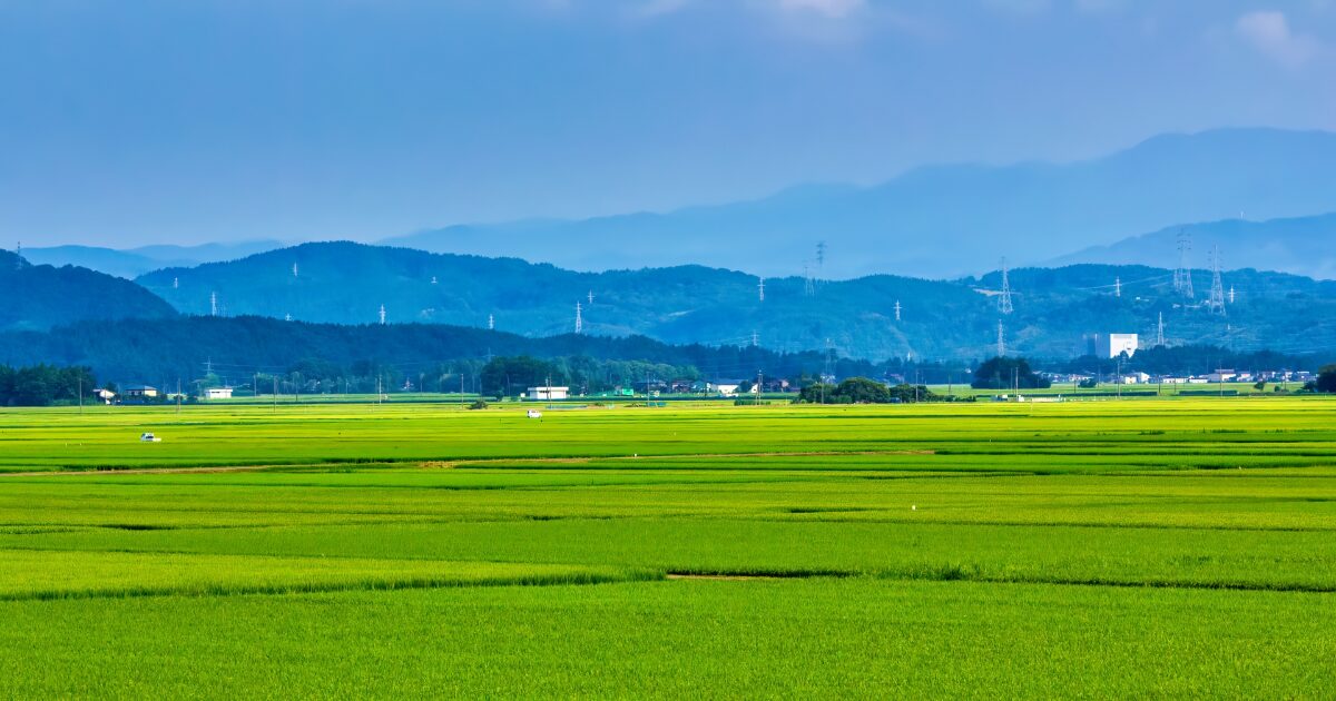 広大な水田と山並みが広がる田園風景