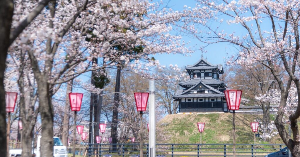 桜並木と高田城が広がる春の風景