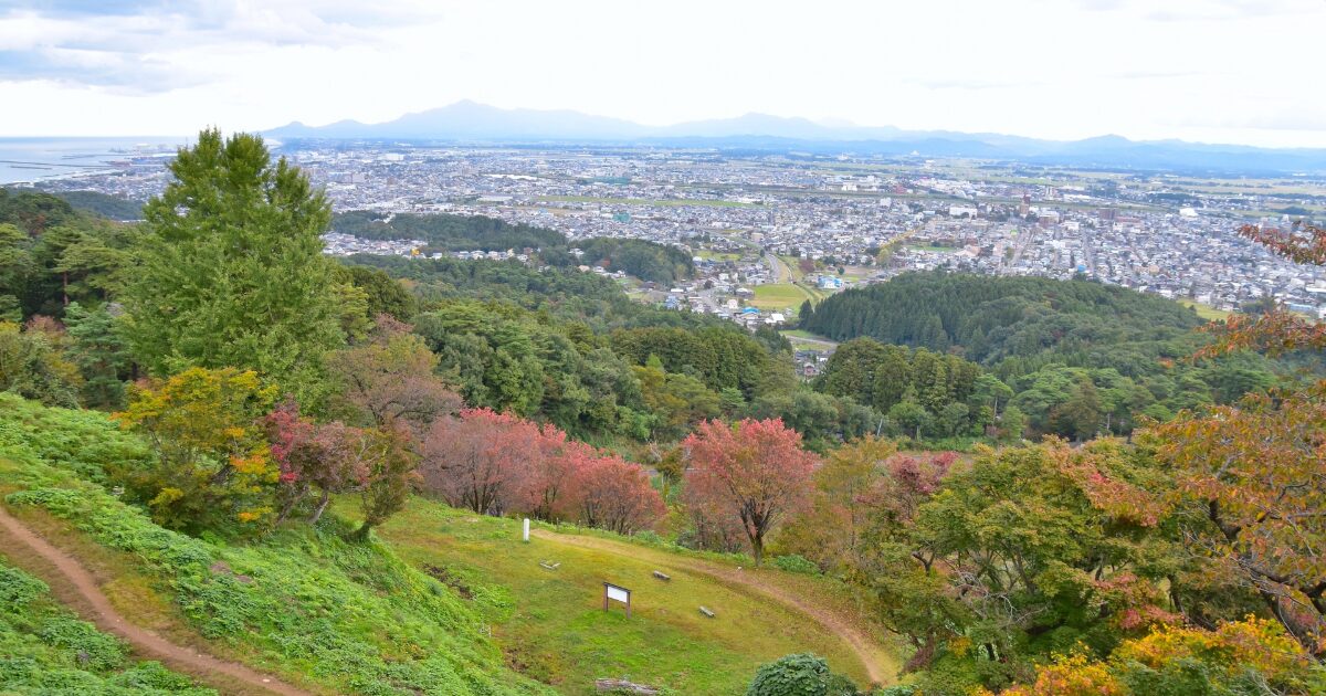 山頂から見下ろす上越市街地と紅葉の風景