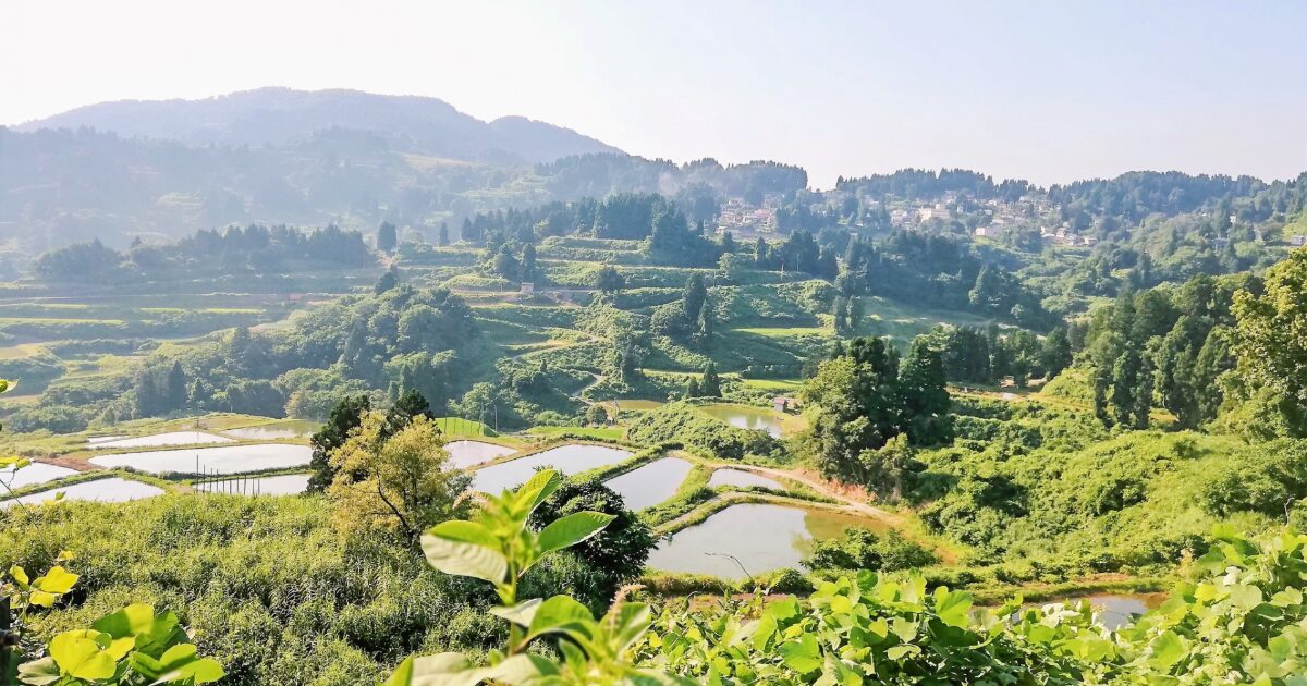 新潟県長岡市の美しい棚田と山間の風景