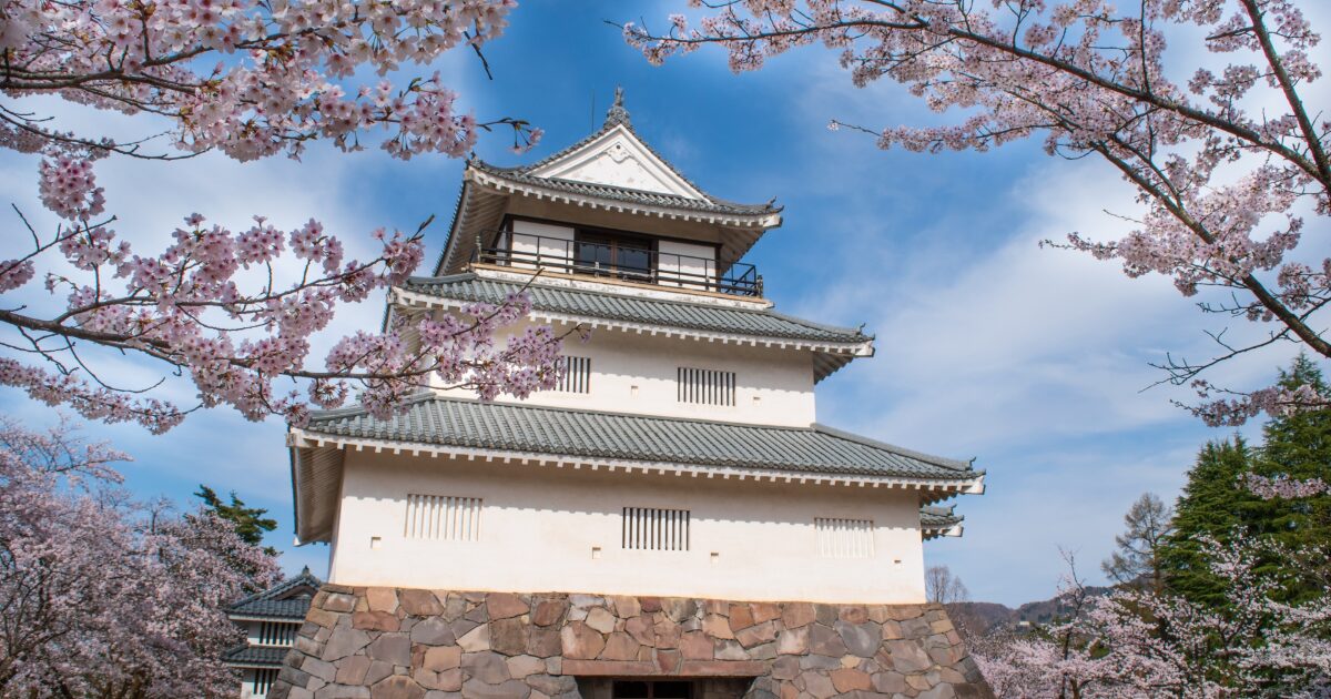 桜に囲まれた春の高田城