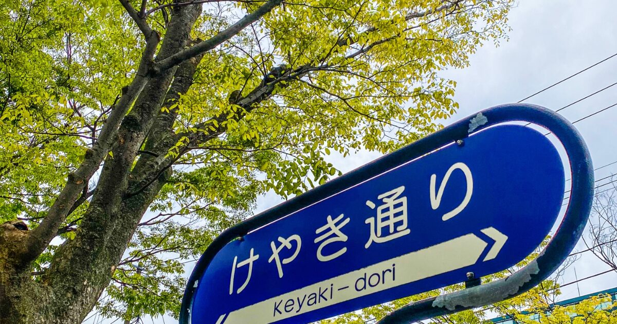 けやき通りの道路標識と新緑の街路樹