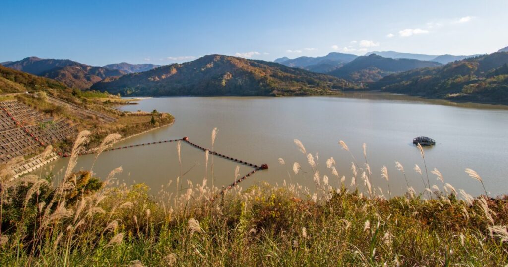 秋の山々と湖とススキが広がる自然の風景