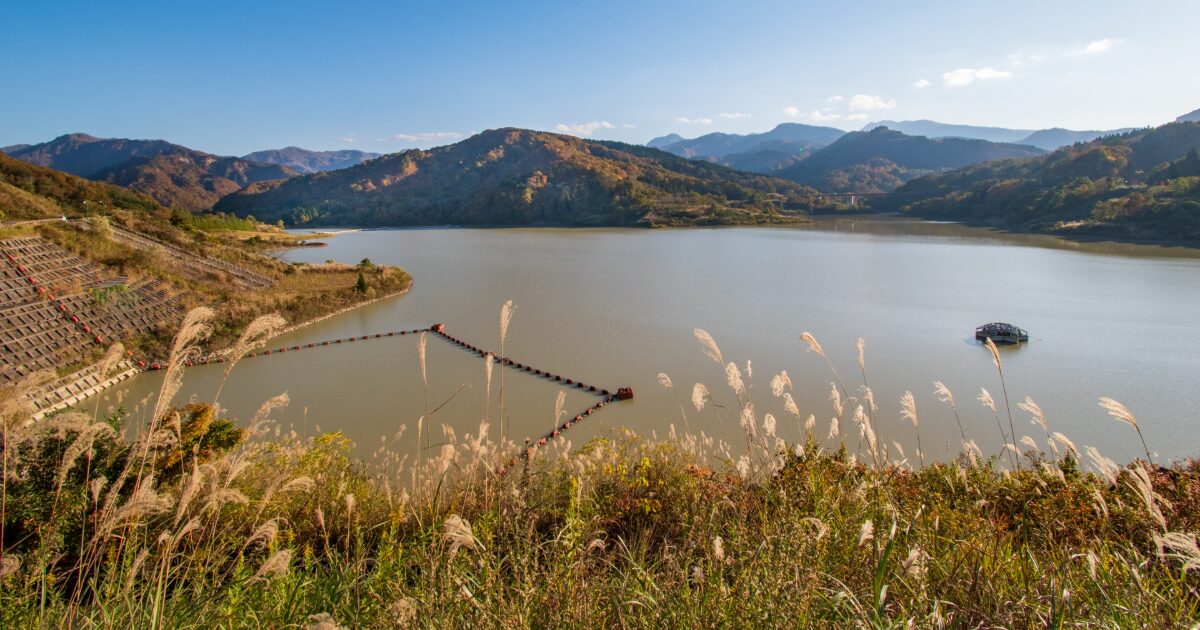 秋の山々と湖とススキが広がる自然の風景