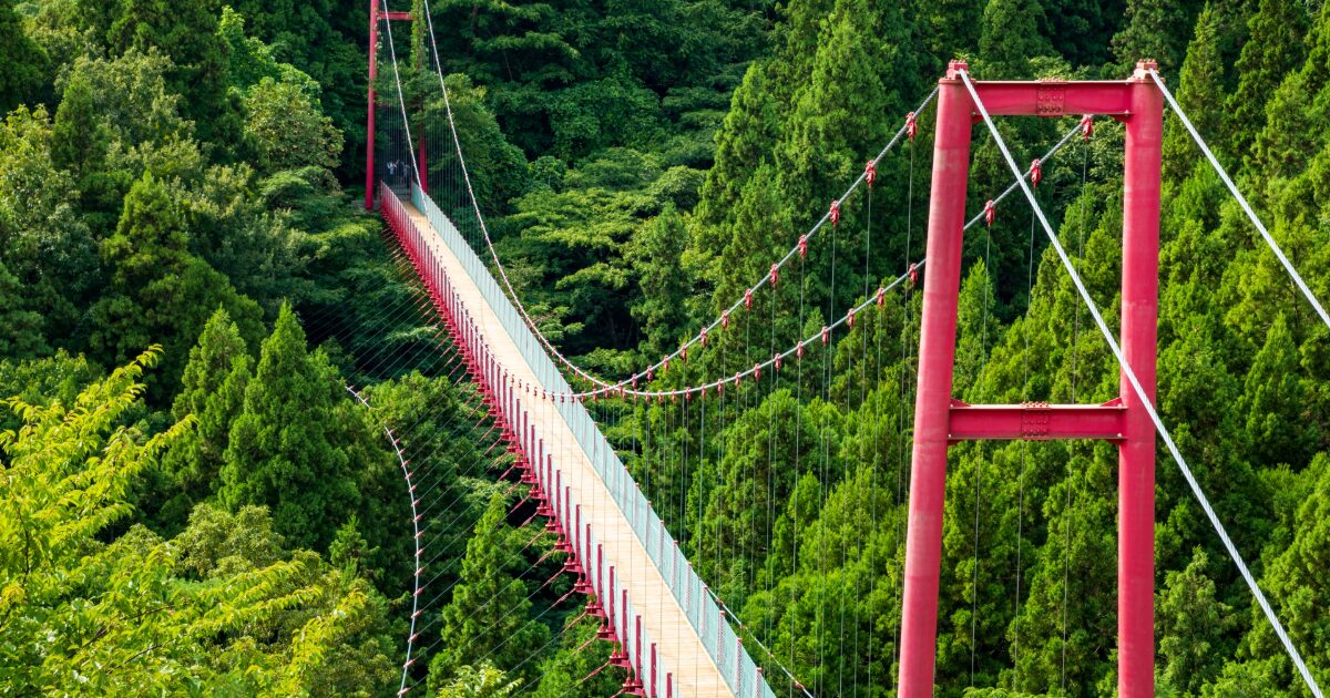 森の中に架かる赤い吊り橋と豊かな自然